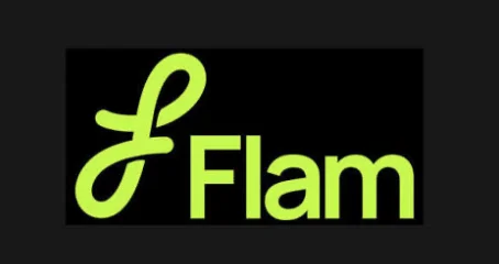 Flam Closes $40M Series B to Scale AI Interactive Content
